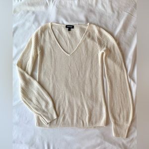 Express v-neck sweater